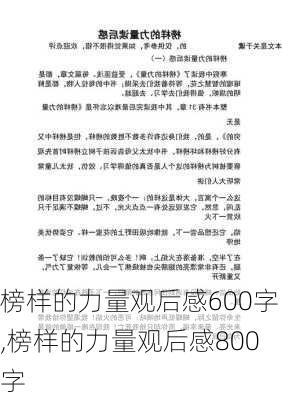 榜样的力量观后感600字,榜样的力量观后感800字